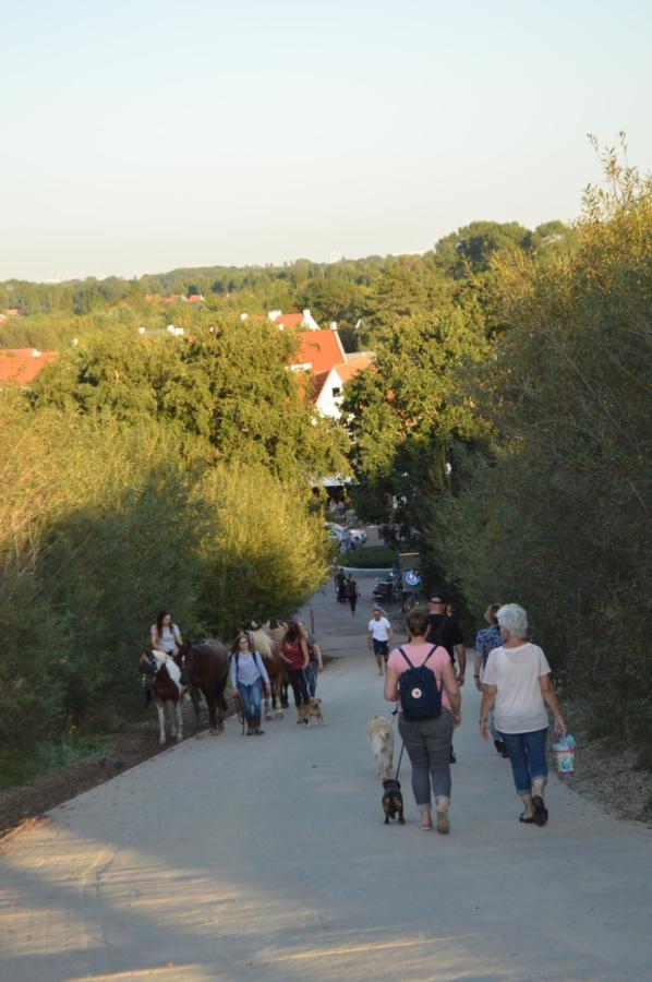 Huis Aan Honte Dishoek Kültér fotó